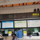 경기도 아이랑 갈만한 곳 포천아트밸리 입장료 솔직후기