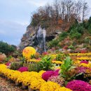 월전로 3 이미지