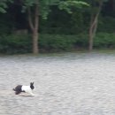 꼬미엔소 | 남양주 꼬미엔소 펜션으로 여행 가기