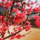 서악사 - 1025 | 서악사