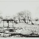 영원을위하여 이미지