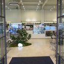 어반브런치 이미지