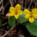 모데미풀 화장실 이미지