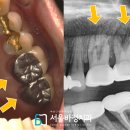 서울바정치과의원 이미지