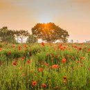 주)진농장 이미지