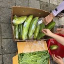 당진어시장 이미지