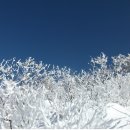 12월27일(일) 계방산 눈꽃산행^^ 이미지