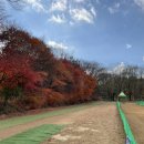 관산파크골프장 동편 | 광주광산구 예약없이 가능한 ⛳파크골프장! &#39;하남그린파크골프장&#39;에 대한 솔직한 후기!