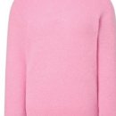 알파카프라자 이미지