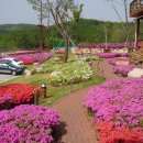 경주한증막