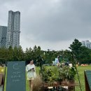 꿈꾸는허브 - 구리시 | 농부시장 마르쉐 @서울숲 마르쉐 지구농부시장 솔직후기
