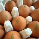 목욕농장 이미지