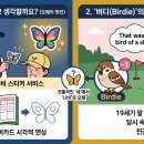 버디(Birdie)의 진짜 유래: 새 vs 나비 이미지