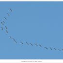 주남저수지 이미지