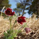 한재공원 이미지