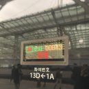 푸라닭여수무선점 | 화이트 크리스마스☃️ 1박2일 삼척여행 : 쏠비치 삼척, 송정칼국수, 영동횟집, 일미어담