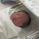 드라마치과병원 | 강남 세브란스 제왕절개 후기 ⎮ 수술 당일~퇴원까지, 입원수술비, 수술과정, 신생아준비물