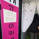 카페..여기 | 중화역 고양이카페 여기있어요 방문후기