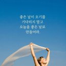 신위 카카오 검색결과