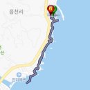 염정1 | 경주 가볼만한 곳 ~ 양남 주상절리 파도소리길 / 봉길대왕암해변 / 선무도 수행도량 골굴사