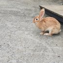 고수족구장 이미지