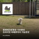 갑부네 | [갑부네운동장] : 동해애견운동장, 100평대 프라이빗 바베큐까지 가능한 곳