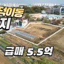 일산서구 덕이동 토지 급매가 5억5천만원 이미지