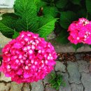 광주희망병원 이미지