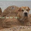 마왕족발안산