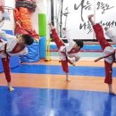 운정 태권도장 이미지