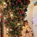 하늘천따지 이미지