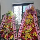 [수지 동천동헬스] 동천동 최대규모 헬스장 브로핏 개인 PT후기