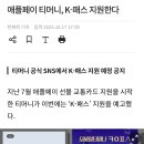 애플페이 티머니, K-패스 지원한다 이미지