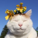 빅토리아PC방 이미지