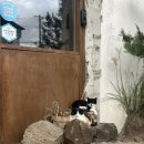 영호농장2 이미지