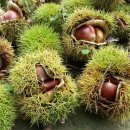 벽산1차아파트 상가앞 이미지