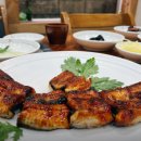 낙동강장어 이미지