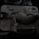 삼미낚시터 이미지