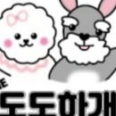 더 도도하개 네이버블로그