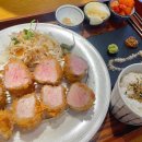 사파동070 | 창원 사파동맛집 동백카츠 법원근처 내돈내산 점심추천