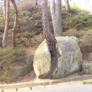 금강트럭 이미지