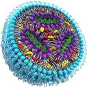 EN바이오 이미지