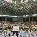 무궁화 태권도 이미지