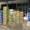 도도페인트