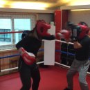 성대복싱체육관 이미지