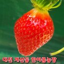 한아름농장 이미지