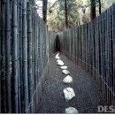 청송포레스트 이미지