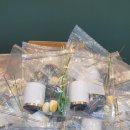 군산진포중학교 이미지