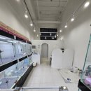 청주강아지분양 애견입양 애견미용 바른펫 이미지