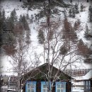 블루바이칼 이미지